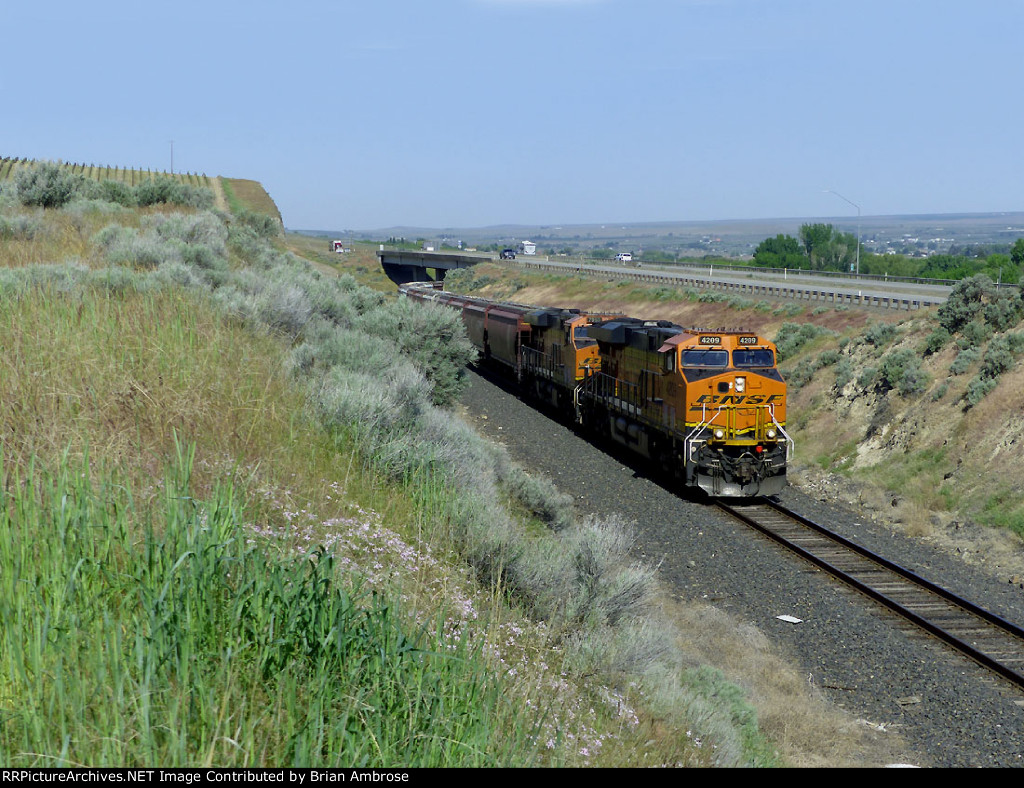 BNSF 4209 East